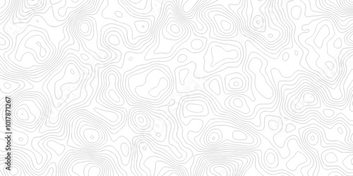 White wave paper curved reliefs abstract background. The topographic map contour in lines isolated. Abstract white topographic map background with lines. Background of the topography map.