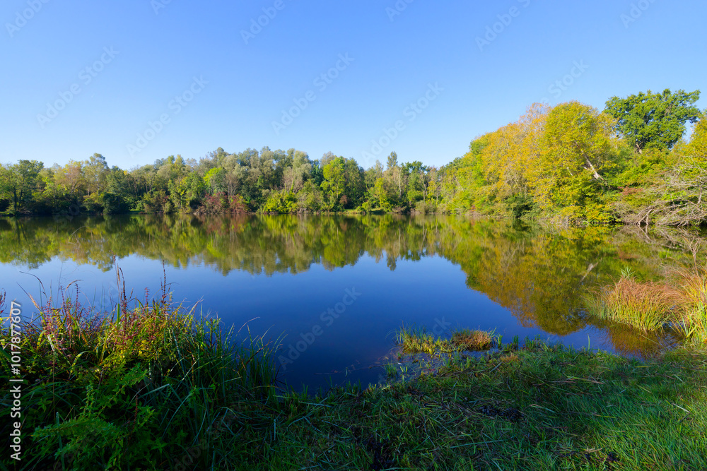 Episy ponds in the French Gâtinais Regional Nature Park Episy ponds in the French Gâtinais Regional Nature Park
