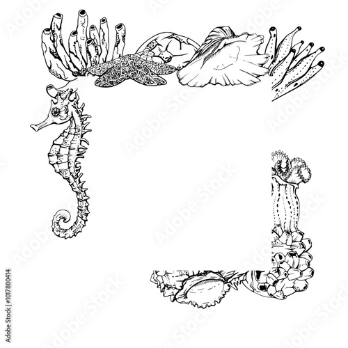 Marine life, sea ocean underwater creatures fish, shells algae seaweed, Ink and pen sketch hand drawn. Border frame illustration, stylized, isolated on white. For zoo shop, aquarium, cosmetics, resort