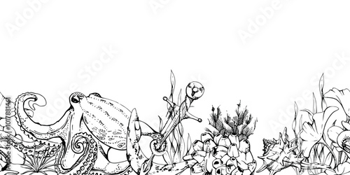 Marine life, sea ocean underwater creatures fish, shells algae seaweed, Ink and pen sketch hand drawn. Seamless banner illustration, stylized, isolated on white. For zoo shop, aquarium, fabric decor
