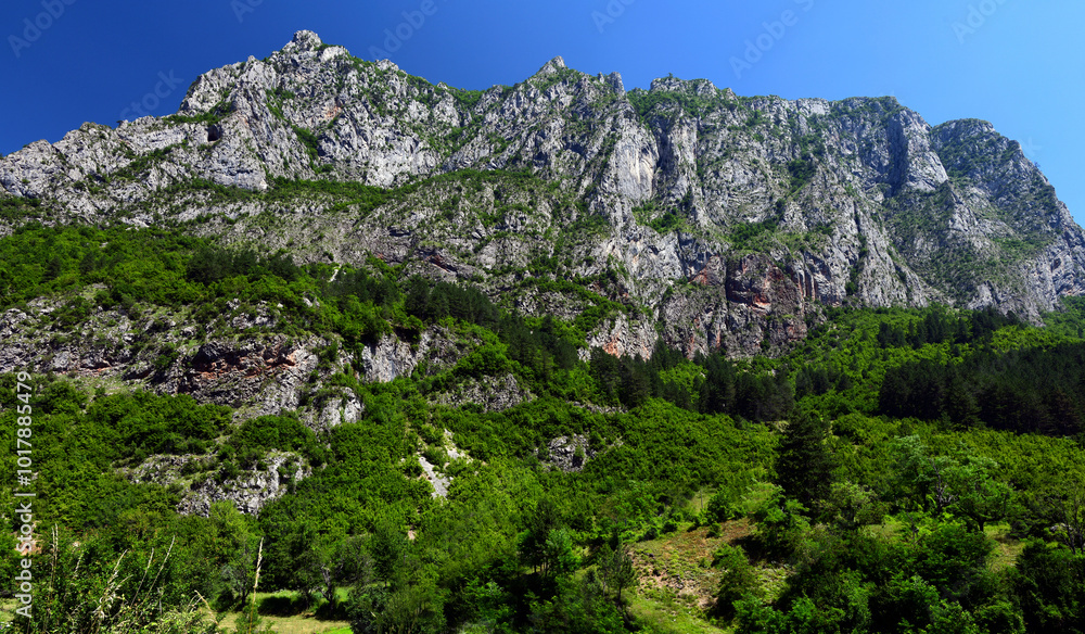 Fototapeta premium Ilijina Gruda im Blidinje Naturpark, Bosnien-Herzegowina // Ilijina Gruda in Blidinje nature park, Bosnia and Herzegovina