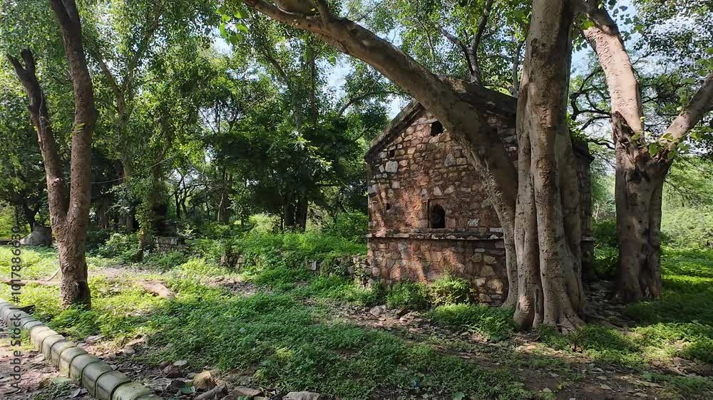 Exploring the ruins of an ancient structure in lush greenery during daytime Mehrauli Archaeological Park, Delhi Exploring the ruins of an ancient structure in lush greenery during daytime Mehrauli Archaeological Park, Delhi