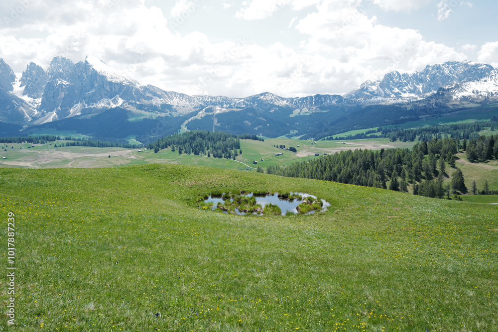 Natural landscape of Alpe de Suisse, The Seiser Alm with green meadows, lovely hill range with typical rocky mountains ridge of the Dolomites plateau- South Tyrol, Italy Natural landscape of Alpe de Suisse, The Seiser Alm with green meadows, lovely hill range with typical rocky mountains ridge of the Dolomites plateau- South Tyrol, Italy