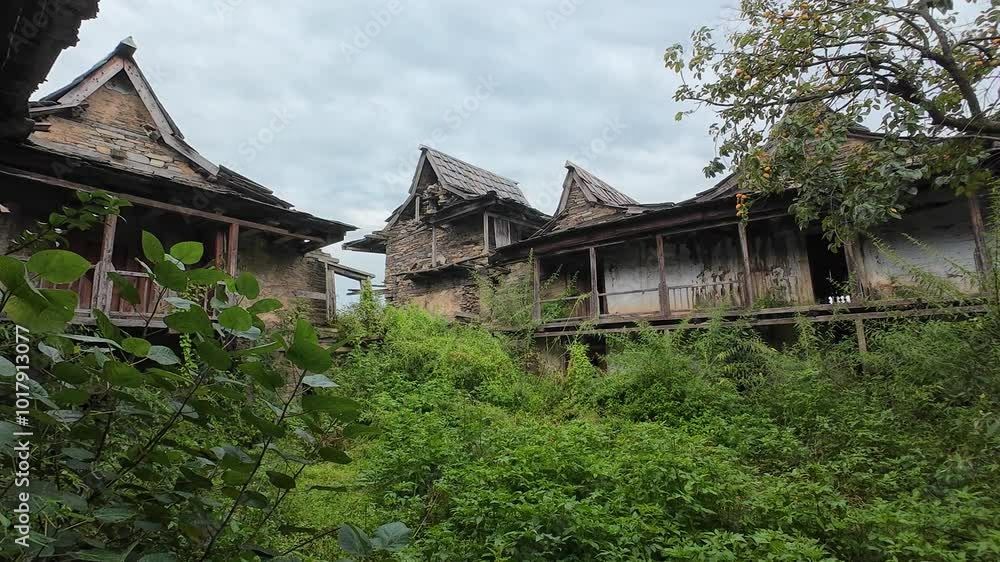 Explore the abandoned Junga Palace surrounded by nature in a remote location, Shimla, Himachal Pradesh Explore the abandoned Junga Palace surrounded by nature in a remote location, Shimla, Himachal Pradesh