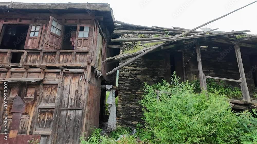 Abandoned Wooden House with Overgrown Vegetation in a Rural Setting