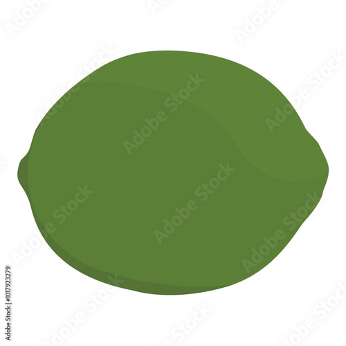 Green lemon lime fruit isolated on white background. Whole citrus fruit