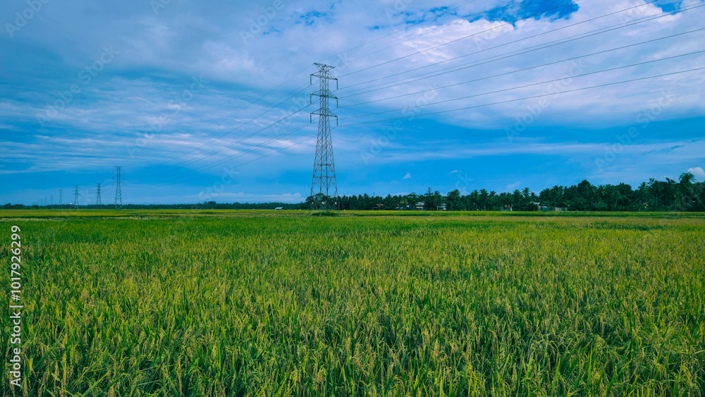 The photo captures a serene rural landscape featuring lush green rice paddies and towering electrical pylons. The blue sky dotted with fluffy white clouds creates a picturesque backdrop. The photo captures a serene rural landscape featuring lush green rice paddies and towering electrical pylons. The blue sky dotted with fluffy white clouds creates a picturesque backdrop.