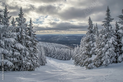 Snow-covered winter landscape with tall trees and distant mountains under a c...
