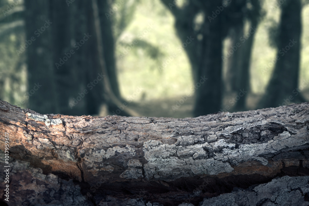 Closeup view of wooden log on the forest with foggy trees and a path. The scene is scary and mysterious. Dramatic smoke or fog effect. Mockup. Copy Space Closeup view of wooden log on the forest with foggy trees and a path. The scene is scary and mysterious. Dramatic smoke or fog effect. Mockup. Copy Space