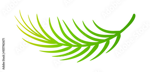 coconut leaves, coconut palm leaf, coconut branch