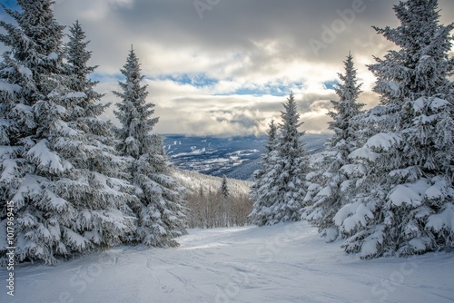 Snow-covered winter landscape with tall trees and distant mountains under a c...