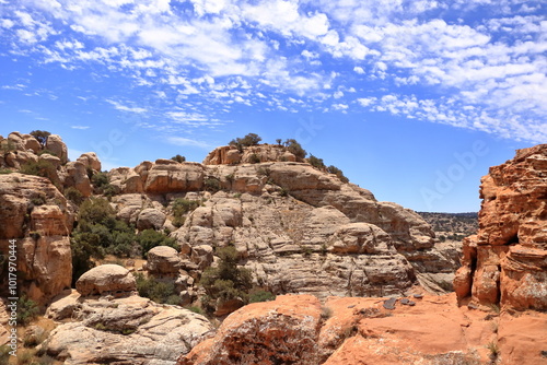 Typical landscape and rock forms in Dana Biosphere Nature Reserve National Park, Jordan