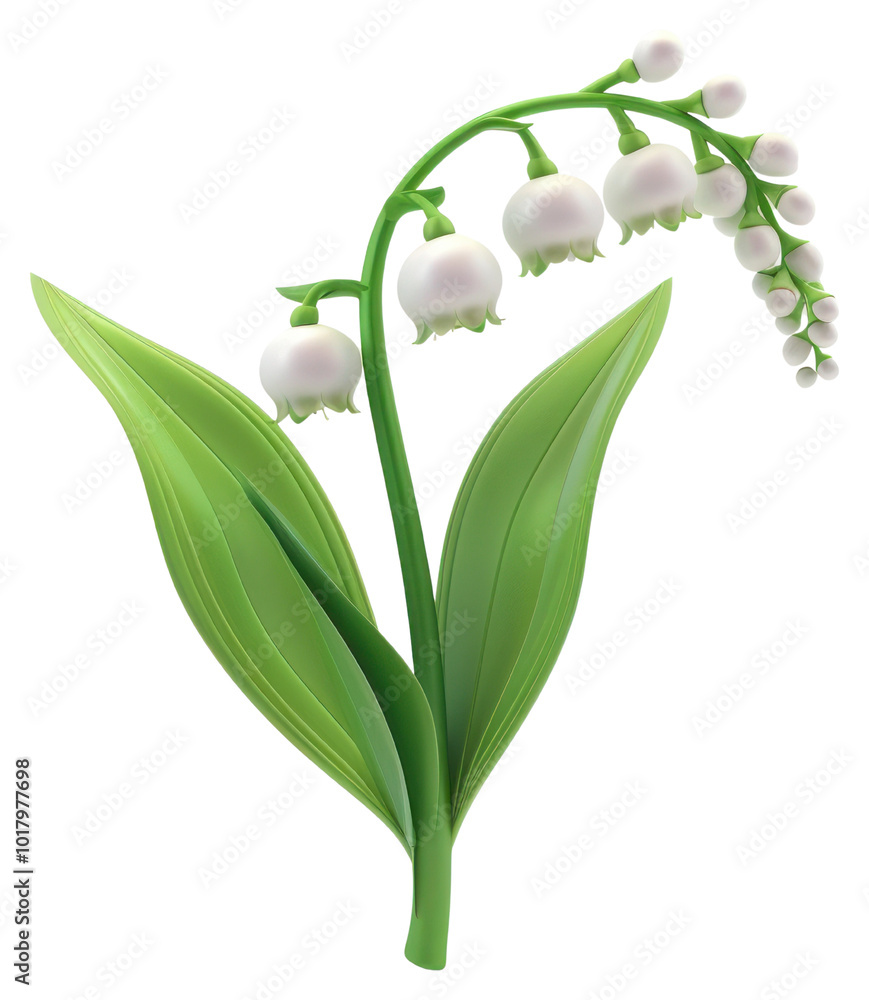 Obraz premium PNG Elegant lily of the valley