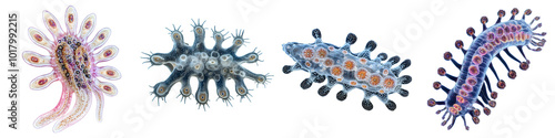 Collection of colorful Amoeba with its pseudopods extended photo