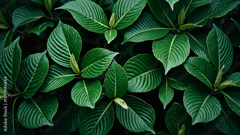 Lush Green Foliage Closeup: Vibrant Leaf Textures for Nature-Inspired Design, Eco-Friendly Branding, or Botanical Backgrounds Lush Green Foliage Closeup: Vibrant Leaf Textures for Nature-Inspired Design, Eco-Friendly Branding, or Botanical Backgrounds