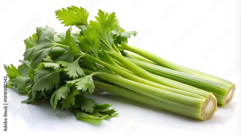The crisp silhouette of fresh celery against a white backdrop highlights its versatility in cooking and nutritional advantages, celebrating its role The crisp silhouette of fresh celery against a white backdrop highlights its versatility in cooking and nutritional advantages, celebrating its role