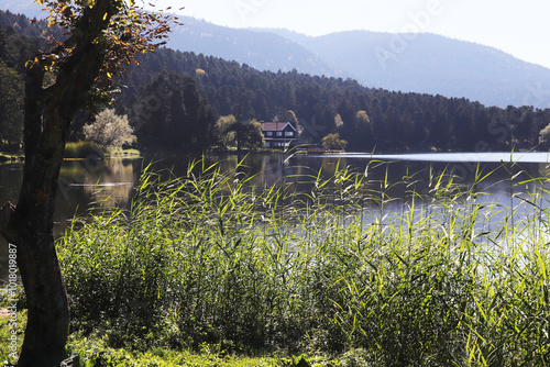 Villa by the lake. Golcuk - Bolu, Turkey photo