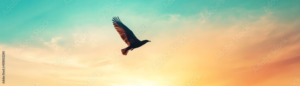 Fototapeta premium Bird Silhouette Flying in Sunset Sky