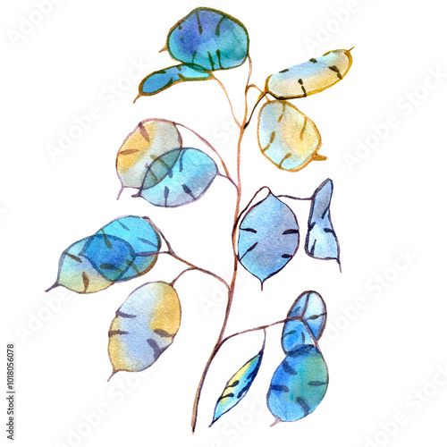 Watercolor twig of lunaria plant isolated on white background. Illustration of dry flowers in artistic  style, ready to use. Design for covers, packaging, labels, season offer. photo