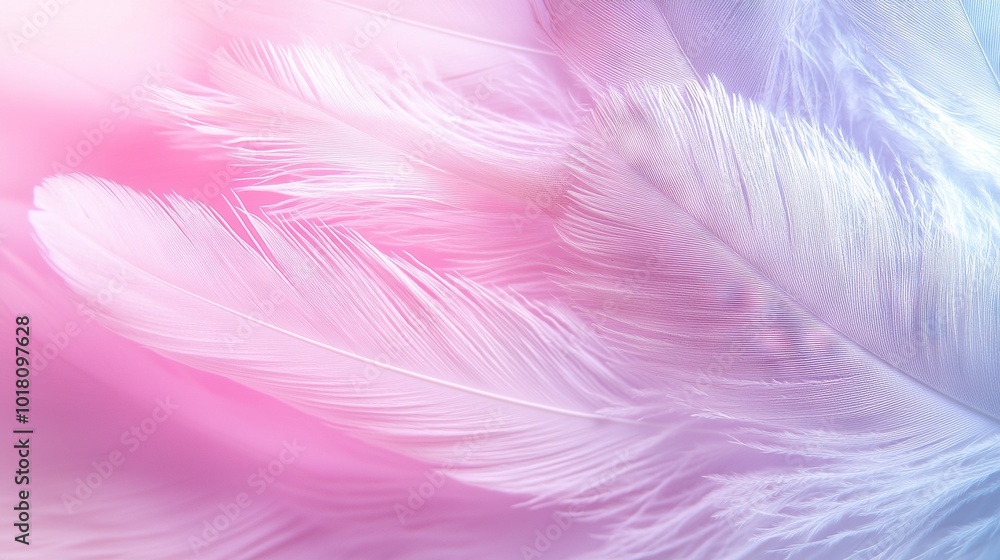 A close-up of a pink and blue background, featuring a prominent white feather on the left and a smaller pink and blue feather on the right A close-up of a pink and blue background, featuring a prominent white feather on the left and a smaller pink and blue feather on the right