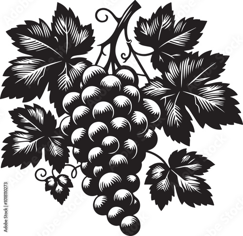 bunch of grapes with leaves silhouette vector illustration
