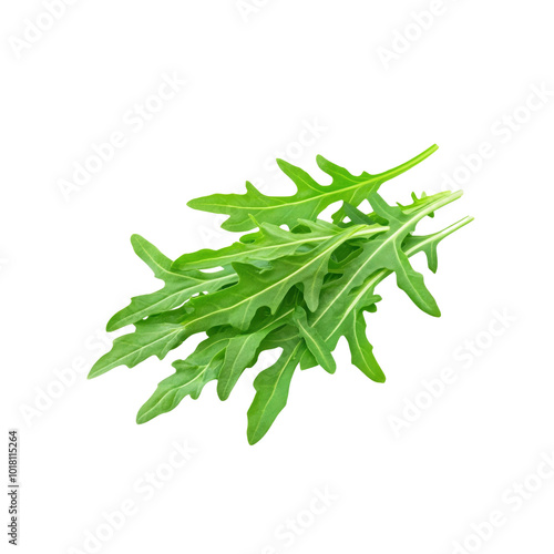 Fresh Arugula Leaves Isolated on White Background