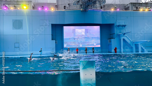 Yokohama Hakkeijima Sea Paradise Aqua Museum photo