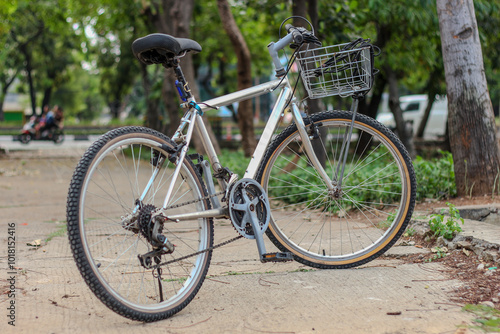 bicycle in the park