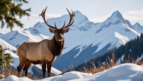 Elk portrait set against rugged mountain backdrop