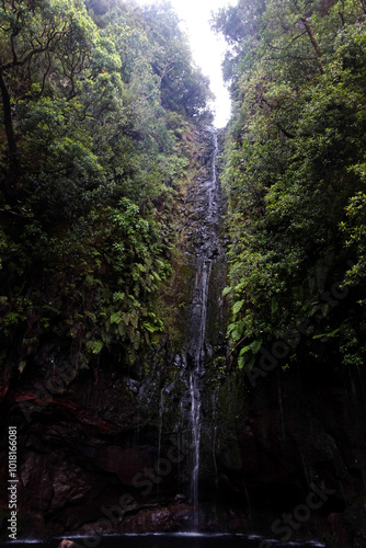 Madeira isola del portogallo