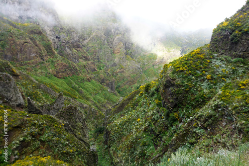 Madeira isola del portogallo