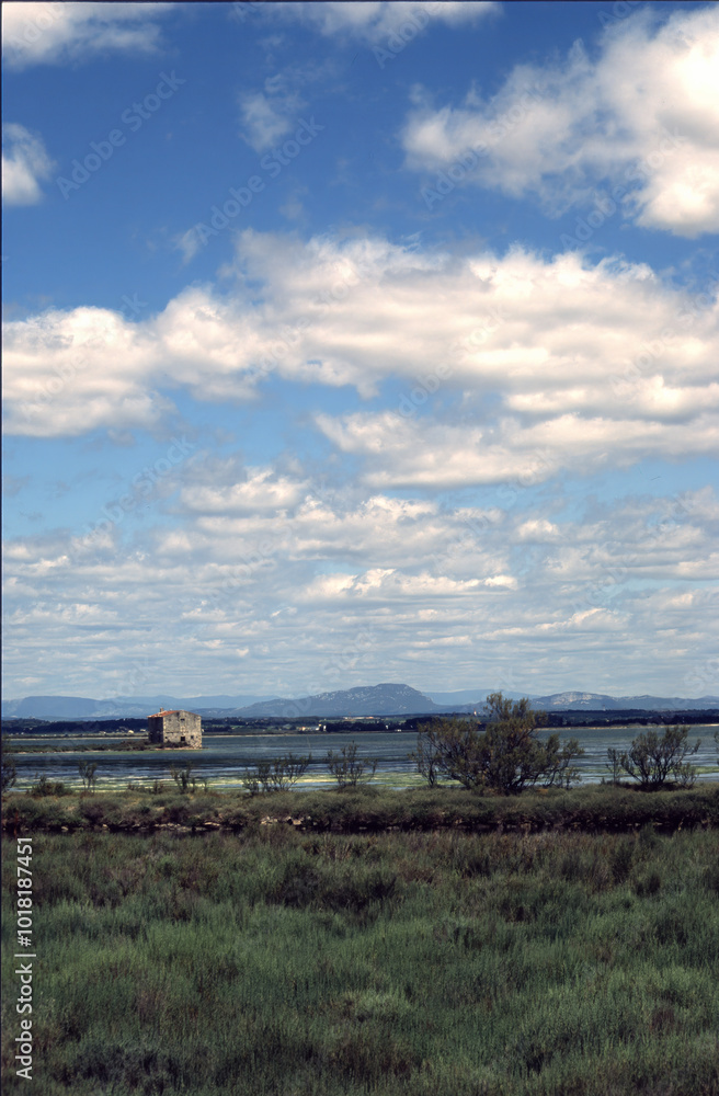 Fototapeta premium Ponds of Montpellier, summer landscape in Occitanie