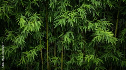 A dense thicket of vibrant green bamboo stalks and leaves, creating a lush natural wall.