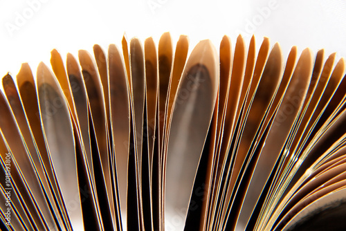 Fragment of an open old book with pages bruised from bottom to top. Each sheet folded inwards