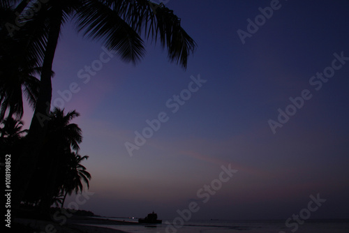 Beach shore before dusk with outline of palm trees on left side and dark violet sky photo