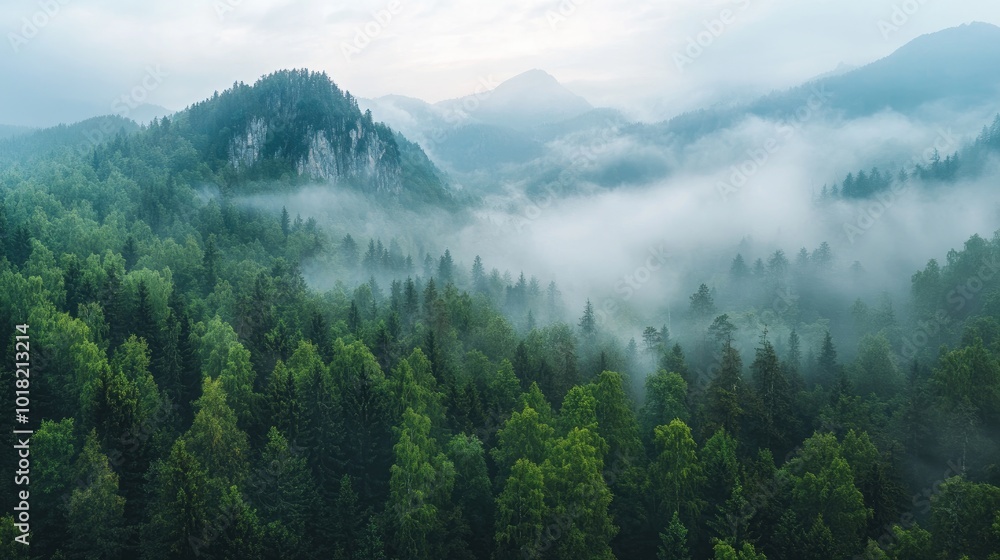 Fototapeta premium Mystical Misty Forest Landscape with Fog-Covered Mountains and Panoramic View in Aerial Photography