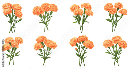 Beautiful orange carnation flower vector illustration. Realistic orange carnation flowers. Set of botanical orange carnation flower vector. Bunch of orange carnation flowers. Abstract carnation flower