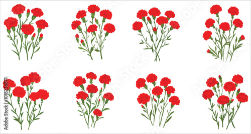 Beautiful red carnation flower vector illustration. Realistic red carnation flowers. Set of botanical red carnation flower vector. Bunch of red carnation flowers. Abstract carnation flower icons