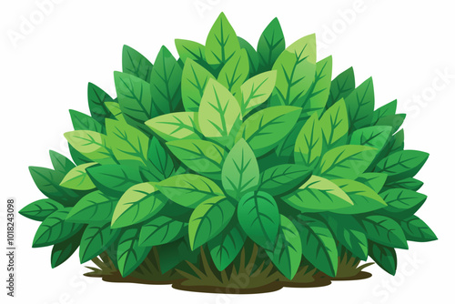 Lush Green Bush Plant Foliage, Illustration on a white background.