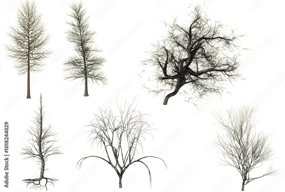 The image displays six distinct of leafless trees, each with unique shapes and branch structures. These bare trees showcase varying levels of detail and styles, capturing different stages of growth, The image displays six distinct of leafless trees, each with unique shapes and branch structures. These bare trees showcase varying levels of detail and styles, capturing different stages of growth,