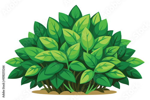 Lush Green Bush Plant Foliage, Illustration on a white background.