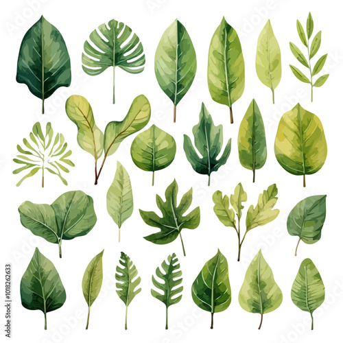 watercolor tropical leaves, Vector Watercolor set of branches with green leaves, for wedding invitations, greetings, wallpapers, fashion, and prints. Eucalyptus, olive green leaves. 