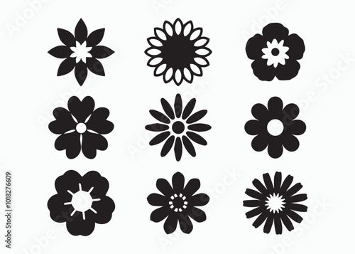 Flower vector collection