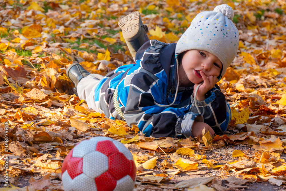 Child boy in autumn park with foliage. He lies on the yellow leaves. High quality photo
