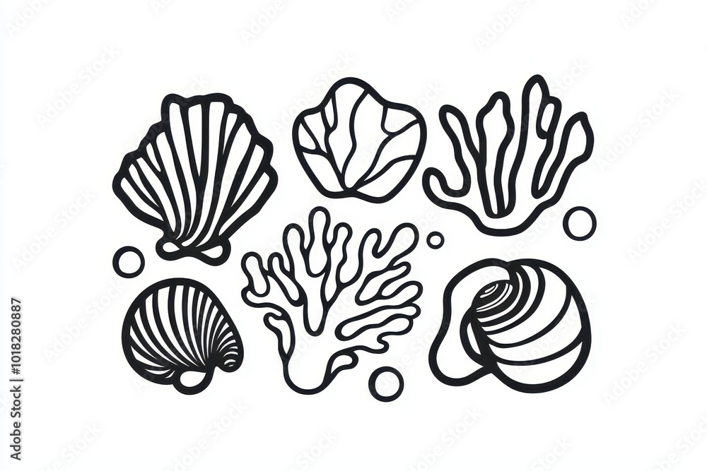 A clean, minimalist black and white outline of various seashells, mollusks, and marine plants, isolated against white background. A clean, minimalist black and white outline of various seashells, mollusks, and marine plants, isolated against white background.