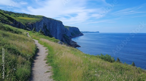 A winding dirt path leads through a grassy field towards a dramatic cliffside overlooking a vast ocean.