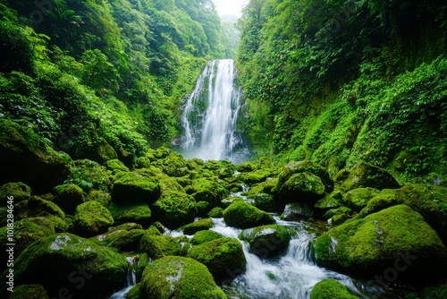 Lush waterfall surrounded by vibrant greenery and mossy rocks.