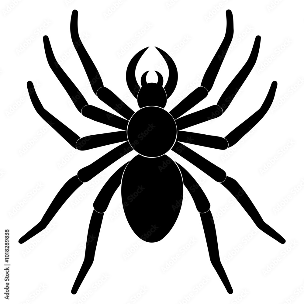 Black widow spider black silhouette vector art illustration Isolated on Transparent background Black widow spider black silhouette vector art illustration Isolated on Transparent background