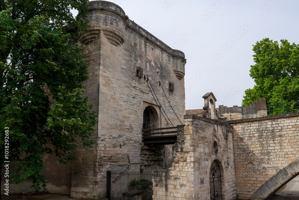 Obraz premium photographie de voyage, Avignon, la cité des papes, France, tourisme, touristique, patrimoine Français 