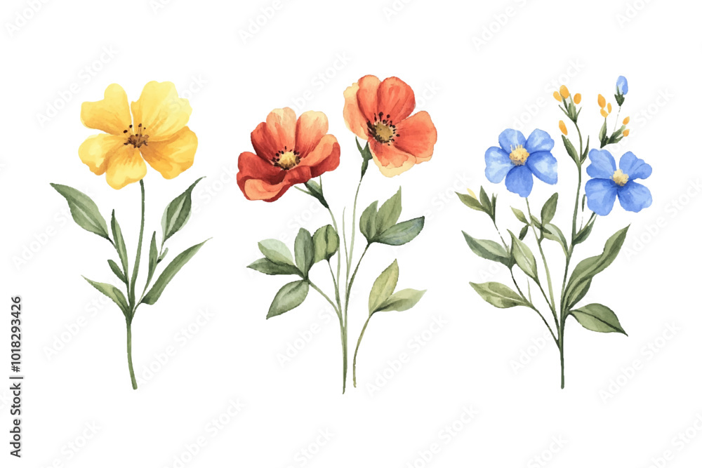 Obraz premium Set of elegant watercolor collection of hand-drawn flowers and herbs